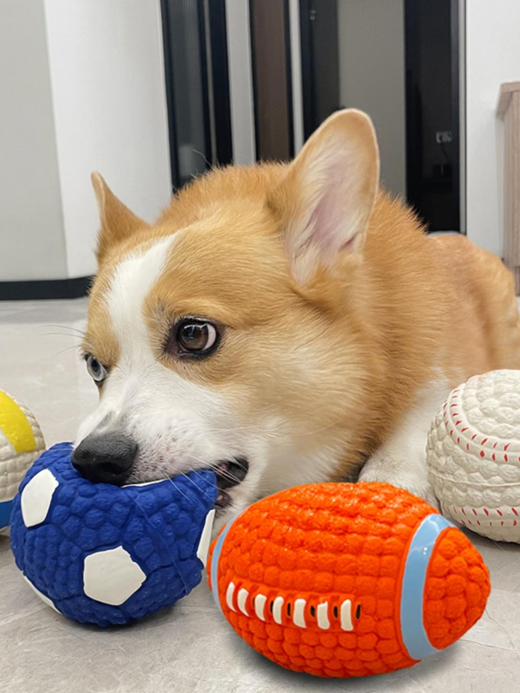 Chew Ball - For Aggressive Chewers