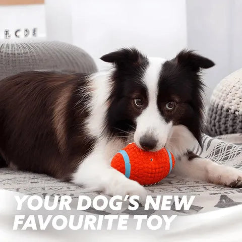 Chew Ball - For Aggressive Chewers