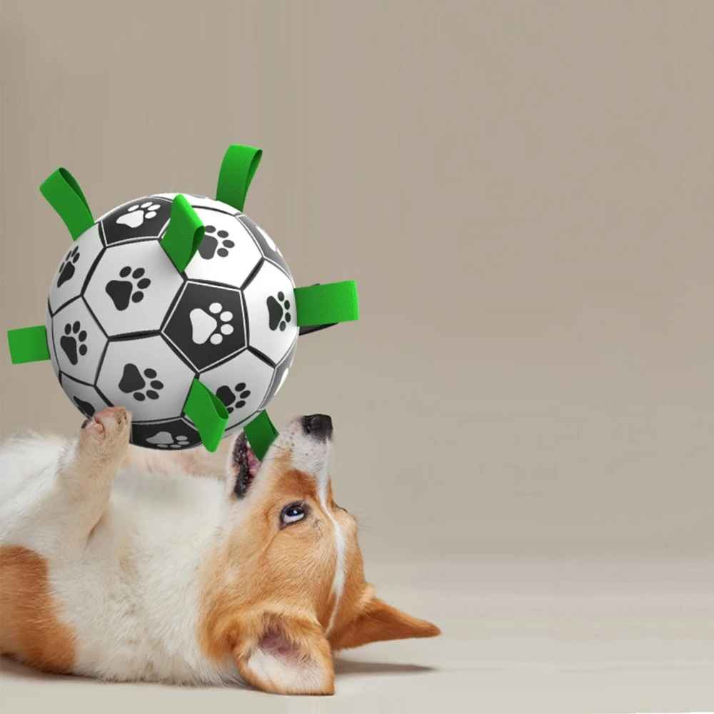 Interactive Dog Socker Training Ball