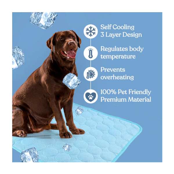 Summer Dog Cooling Mat
