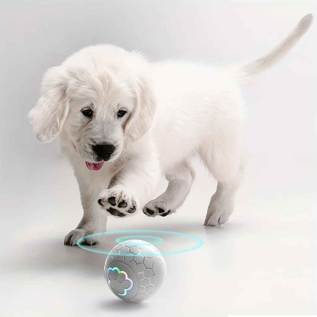Smart Dog LED Ball