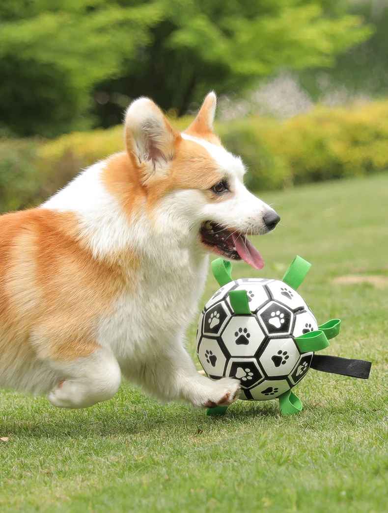 Interactive Dog Socker Training Ball