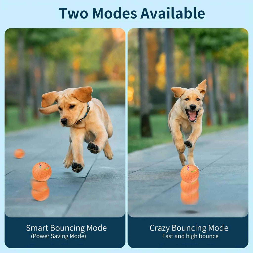 Smart Dog LED Ball