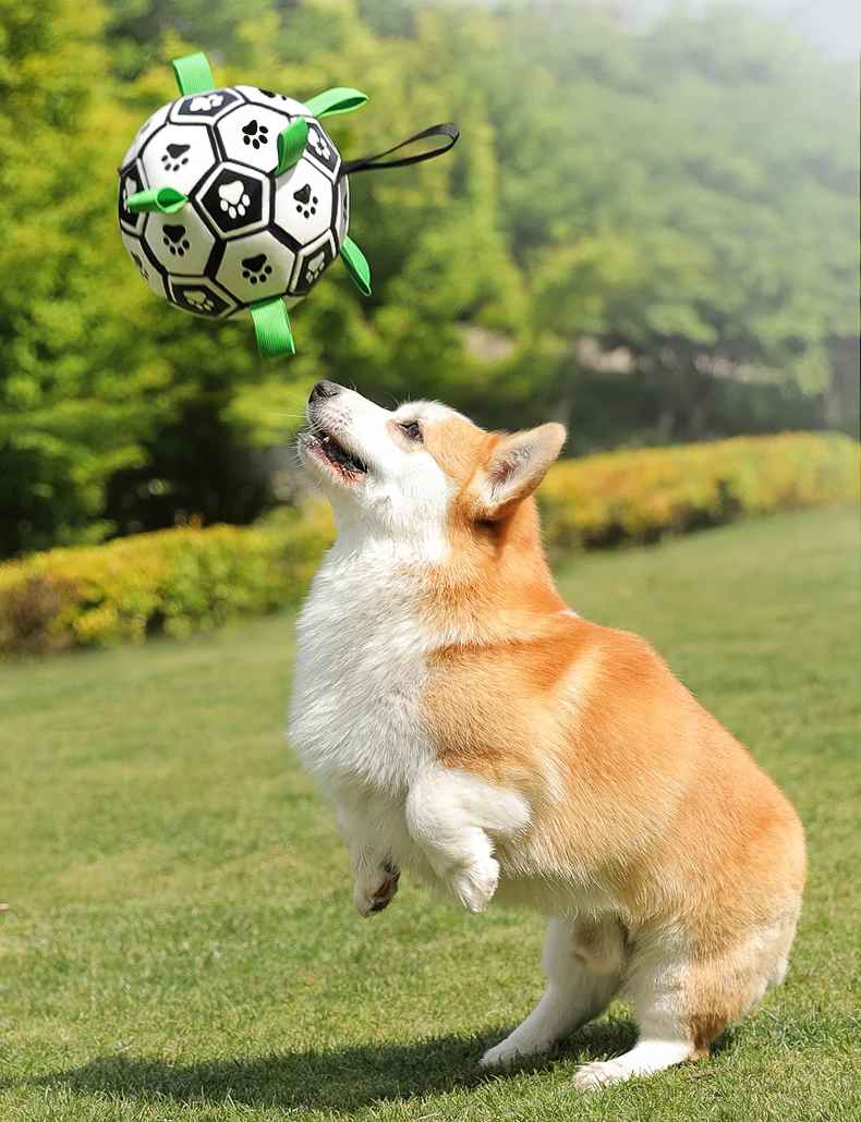 Interactive Dog Socker Training Ball