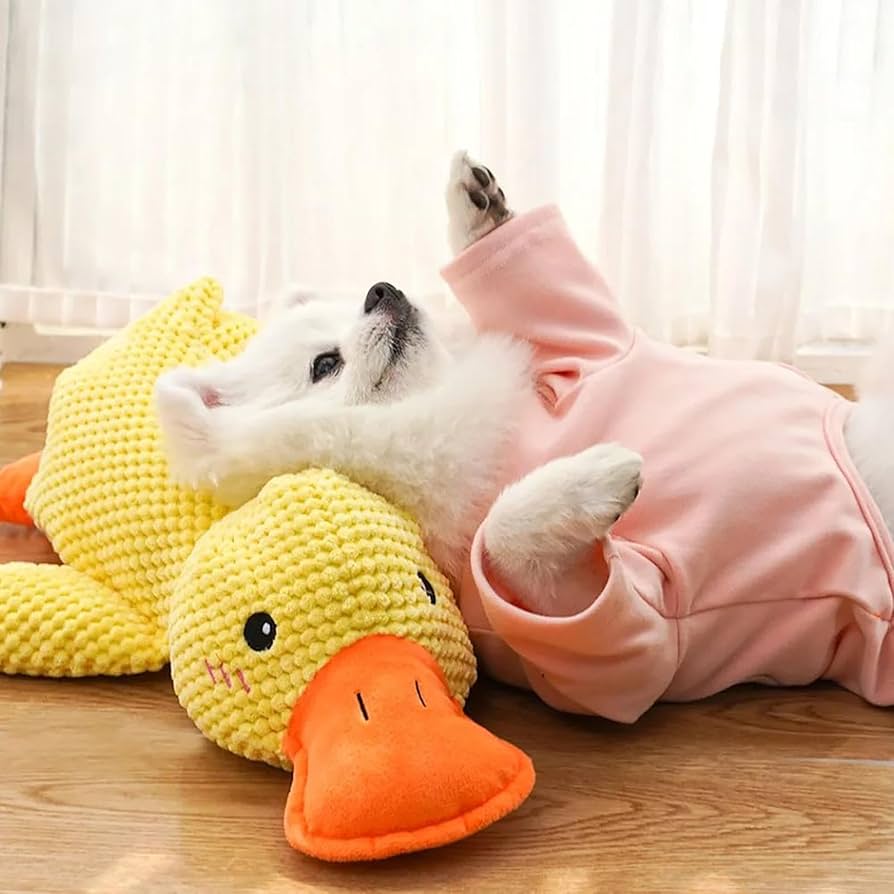 Stomping Duck Dog Toy