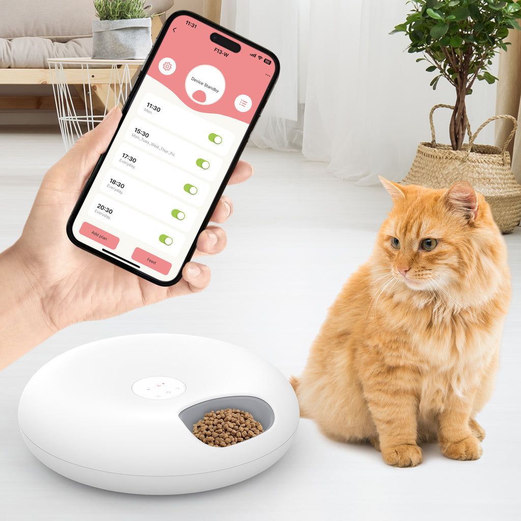 Wet Food Automatic Feeder