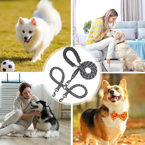 Double DOGS Leash