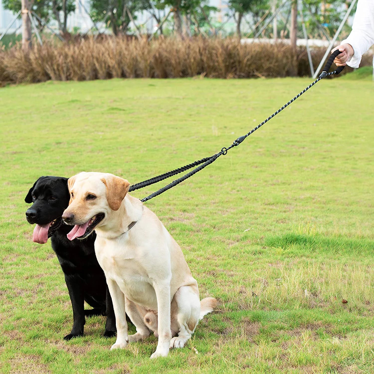 Double DOGS Leash