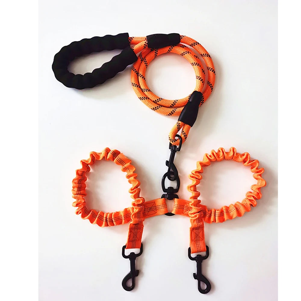 Double DOGS Leash