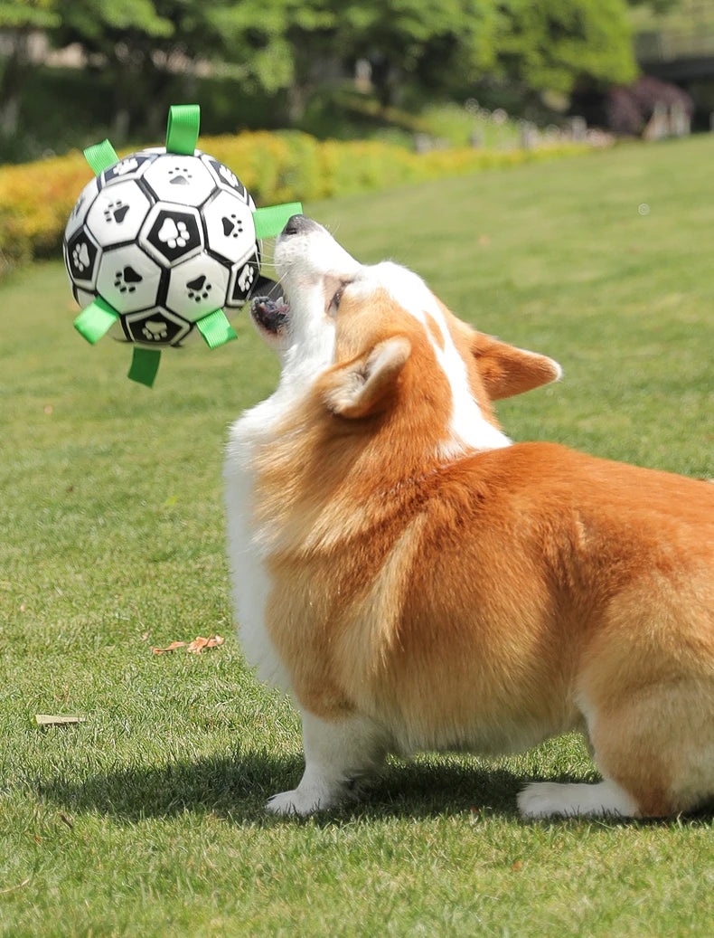 Interactive Dog Socker Training Ball