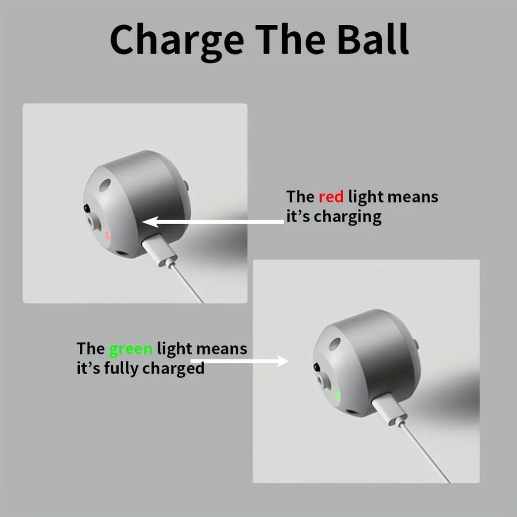 Smart Dog LED Ball