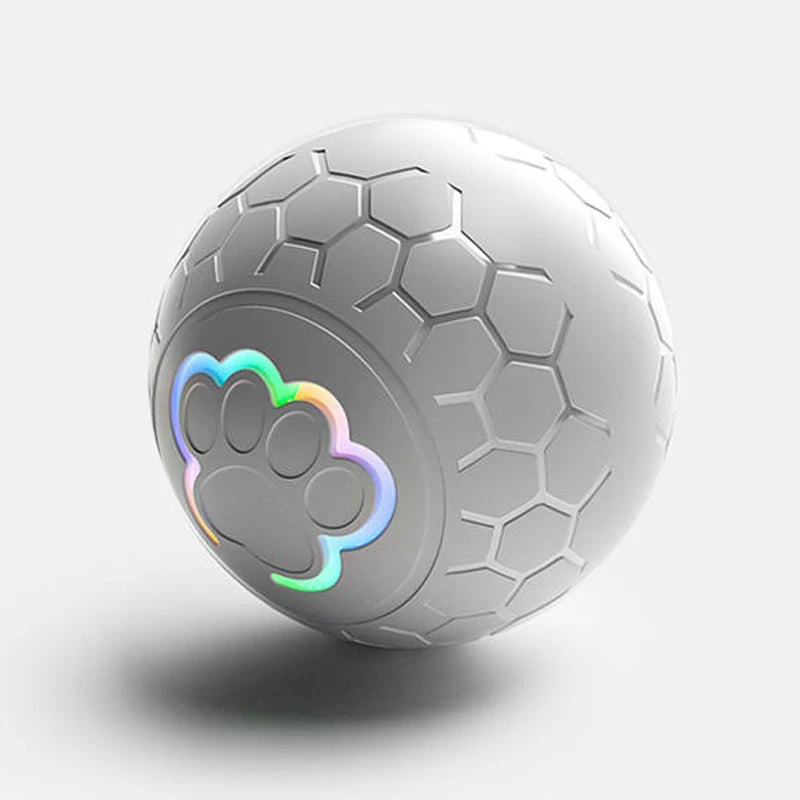 Smart Dog LED Ball