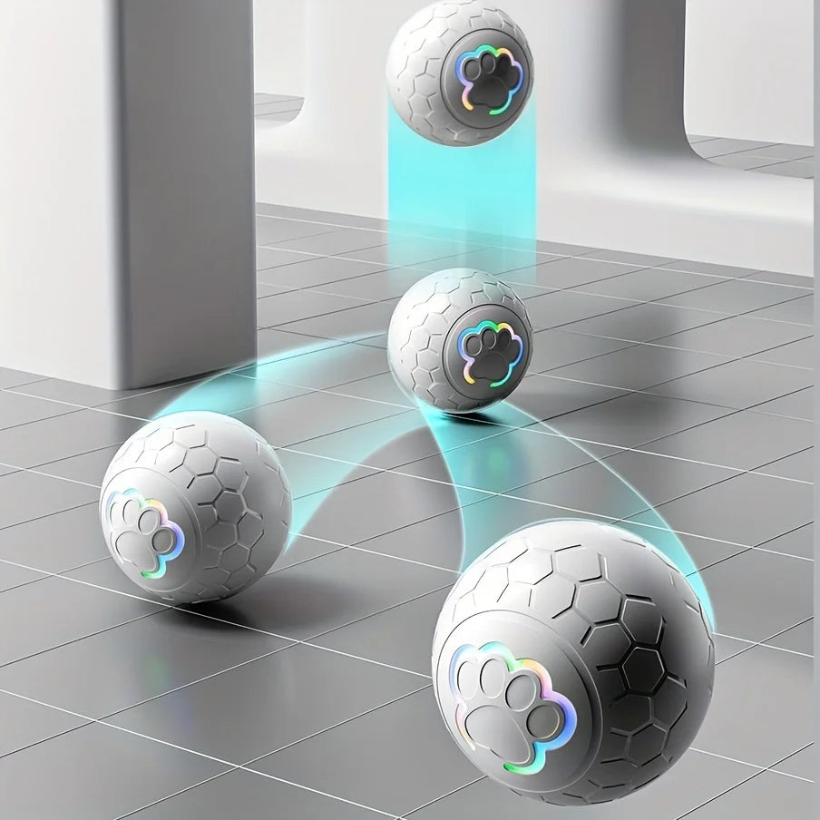 Smart Dog LED Ball