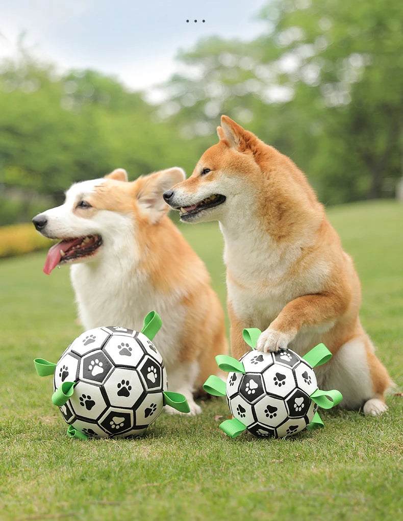 Interactive Dog Socker Training Ball