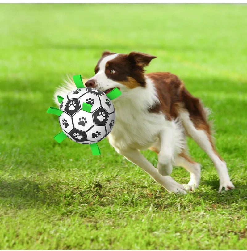 Interactive Dog Socker Training Ball
