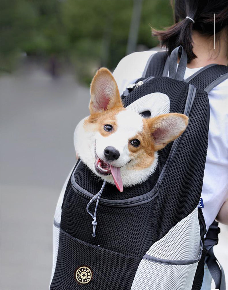 Dog Sport Backpack