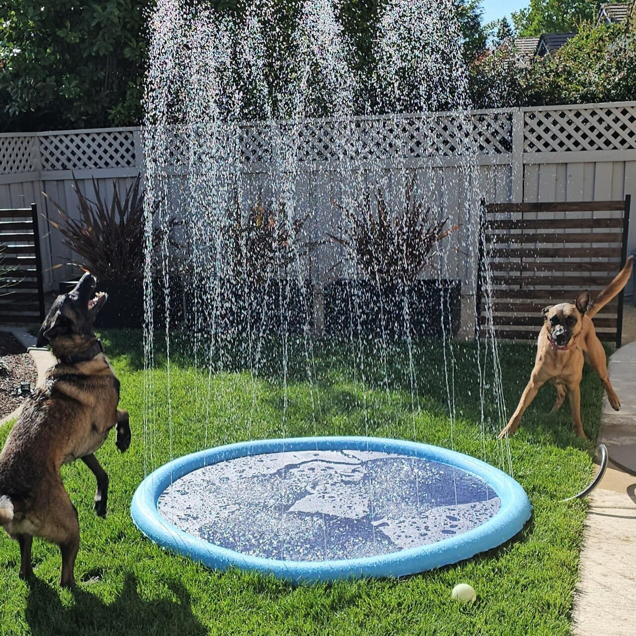 Summer Pet Swimming Pool