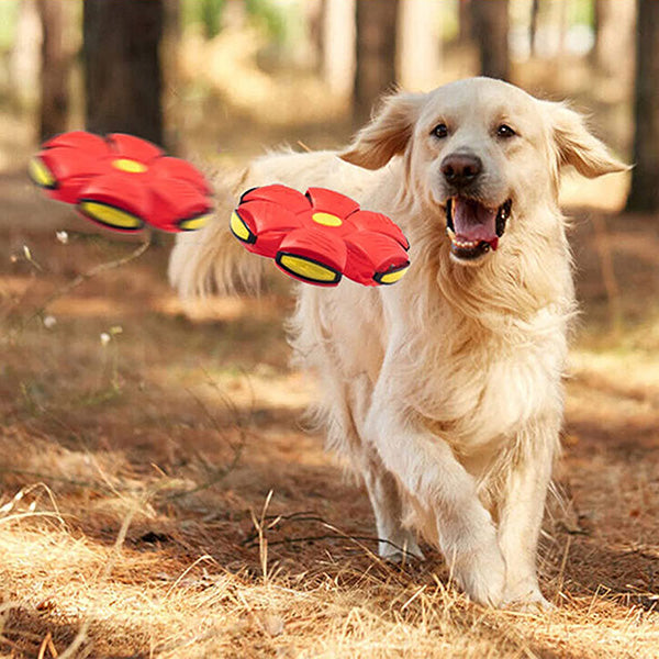 Magic Flying Saucer Ball