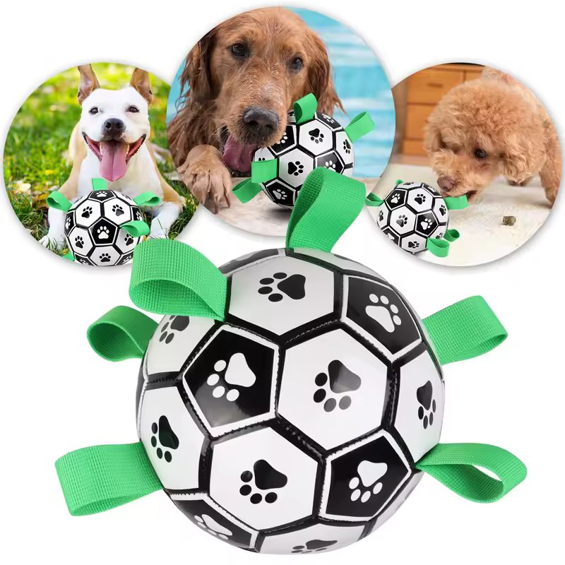 Interactive Dog Socker Training Ball